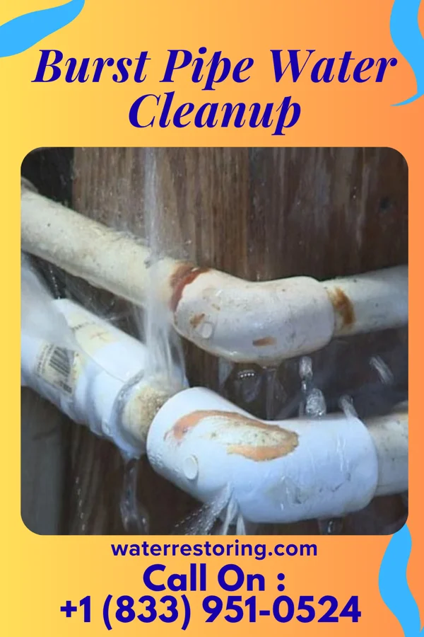 Burst Pipe Water Cleanup in Bronxville, NY