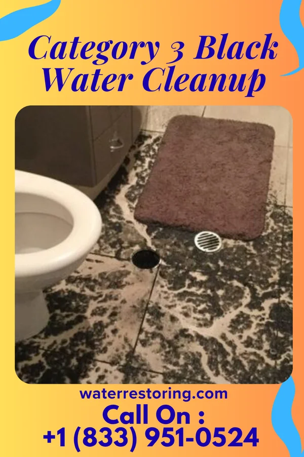 Category 3 Black Water Cleanup in Bronxville, NY
