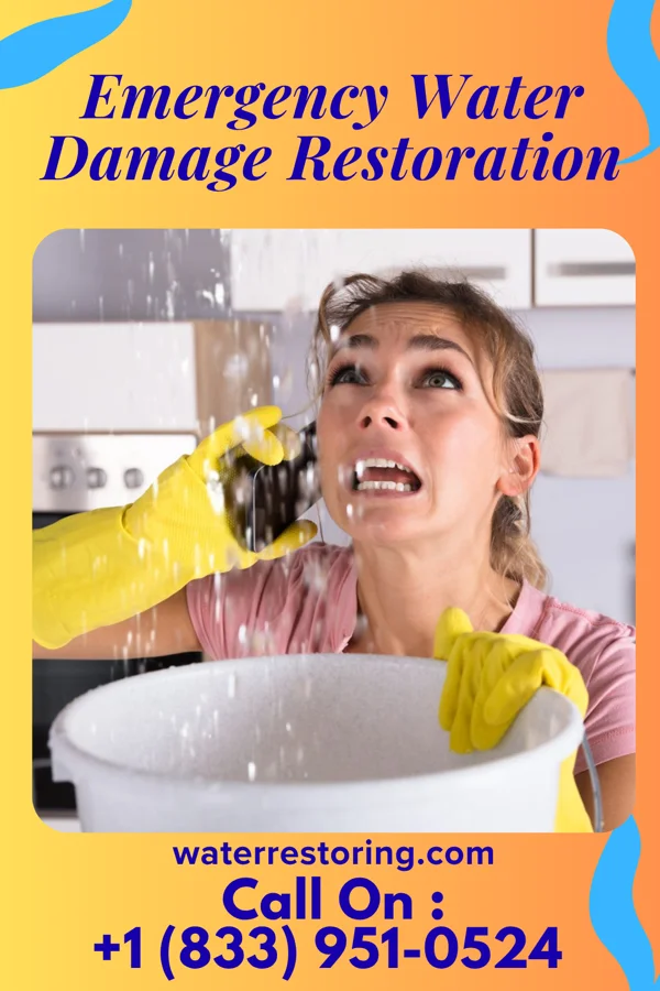 Emergency Water Damage Restoration in Bronxville, NY