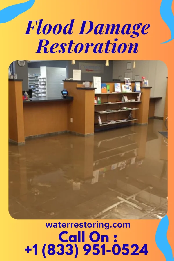 Flood Damage Restoration in Bronxville, NY